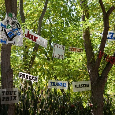 Bibedum tremens Bibedum tremens