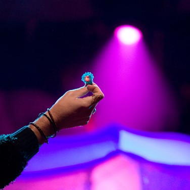 2008-09-cergysoit-caravane-OK (20)