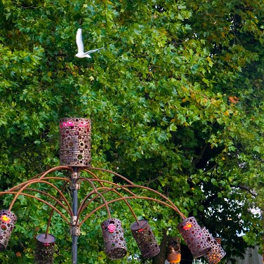 2008-09-cergysoit-monic-OK (5)