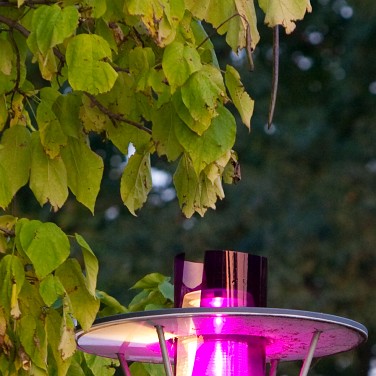 2008-09-cergysoit-monic-OK (6)