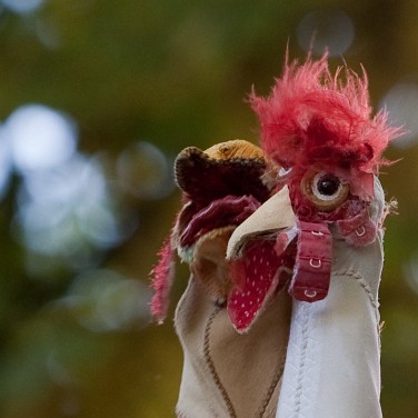 2008-09-cergysoit-zanimos-OK (24)