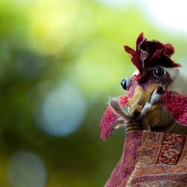 2008-09-cergysoit-zanimos-OK