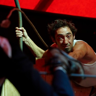 Bibedum tremens Bibedum tremens