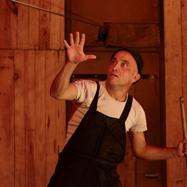 Bibedum tremens Bibedum tremens