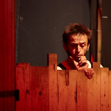 Bibedum tremens Bibedum tremens