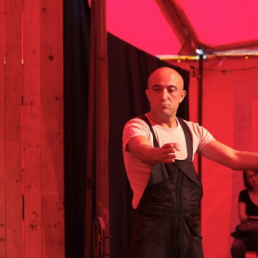 Bibedum tremens Bibedum tremens