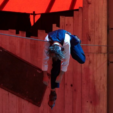 Bibedum tremens Bibedum tremens