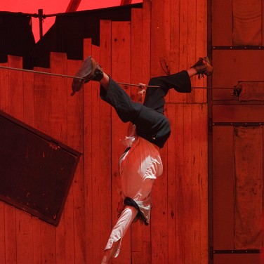 Bibedum tremens Bibedum tremens