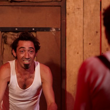 Bibedum tremens Bibedum tremens