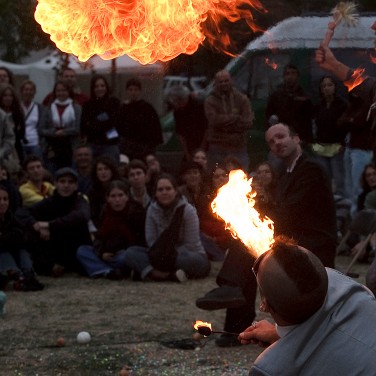 Tony Clifton Circus Tony Clifton Circus