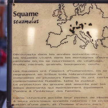 2012-09-15-151013-csoit-kumulus-squames-OK cergy-soit