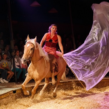 2014-09-12-202406-csoit-pagnozoo-OK