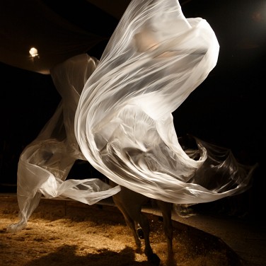 2014-09-12-202428-csoit-pagnozoo-OK