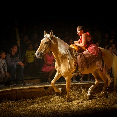 2014-09-12-203549-csoit-pagnozoo-OK