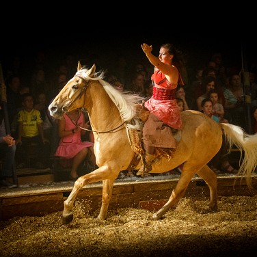 2014-09-12-203615-csoit-pagnozoo-OK