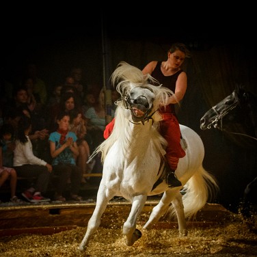 2014-09-12-203758-csoit-pagnozoo-OK