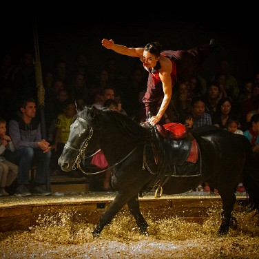 2014-09-12-203806-csoit-pagnozoo-OK