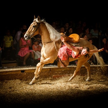 2014-09-12-203839-csoit-pagnozoo-OK