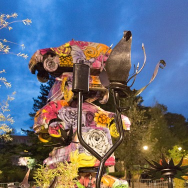 2015-09-13-201328-csoit