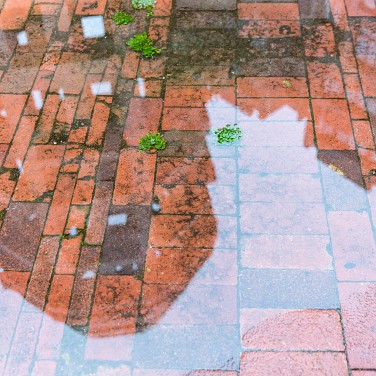 2015-09-13-131457-csoit