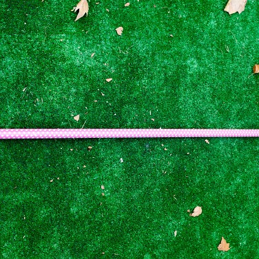 2016-09-08-163336-csoit