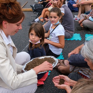 2021-09-25-171439-dom-CS-mycelium