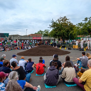 2021-09-25-172117-dom-CS-mycelium