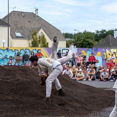 2021-09-25-174220-dom-CS-mycelium