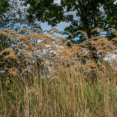 2022-09-11-154154-cergy-soit