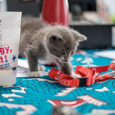 2022-08-25-162548-cergy-soit