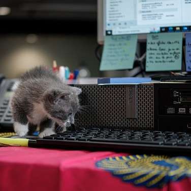 2022-08-25-162625-cergy-soit