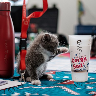 2022-08-25-162805-cergy-soit