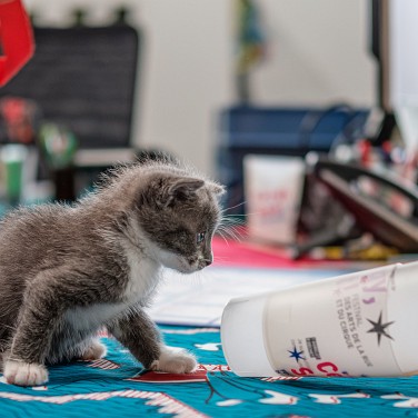 2022-08-25-162806-cergy-soit