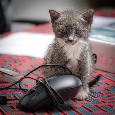 2022-08-25-162913-cergy-soit