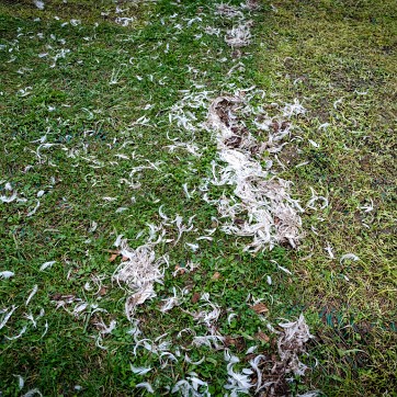 2024-09-22-170659-cergy-soit