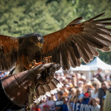 2024-09-15-155900-cergy-soit