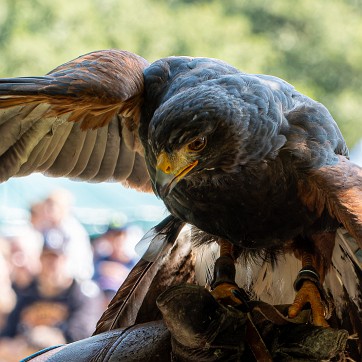 2024-09-15-155903-cergy-soit