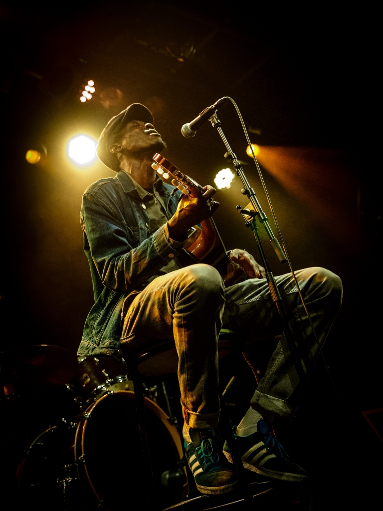 2015-04-16-224921-ruche-scene-ouverte.jpg