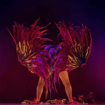 2024-04-06-203807-kiki-beguin