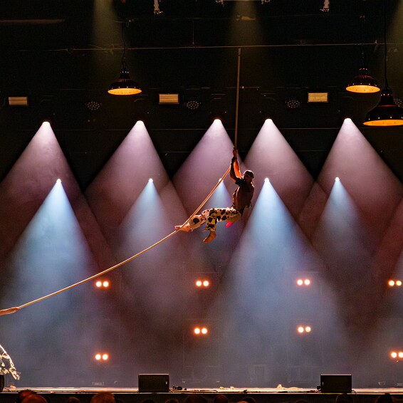 2026-04-18-210806-cabaret null