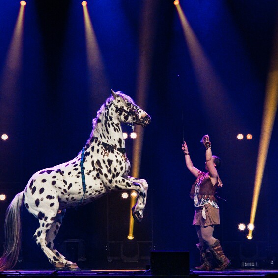 2026-04-18-210430-cabaret null