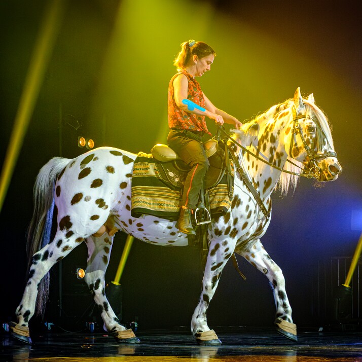 Equestre