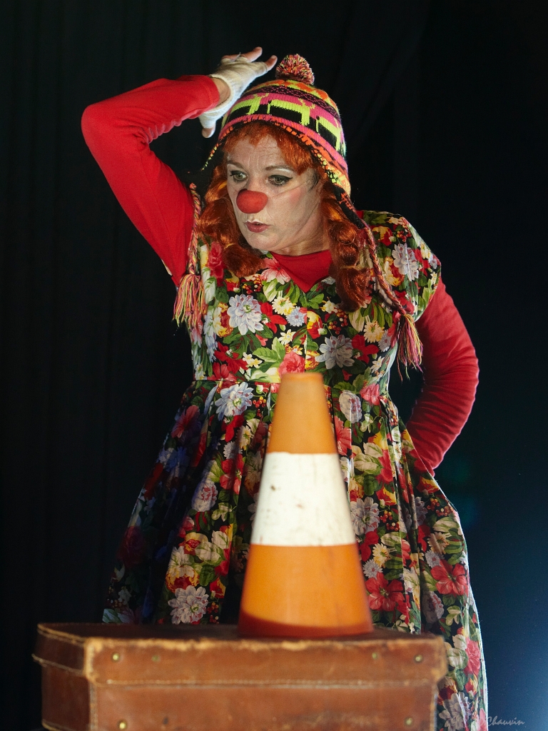2010-07-avig-clown (9)_GF.jpg