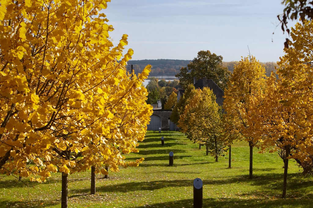 2010-10-31-131732-passerelle-OK