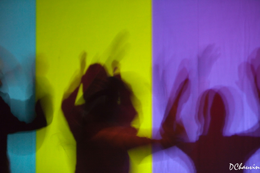 2010-01-08-ombre-Ok.jpg -  no 22