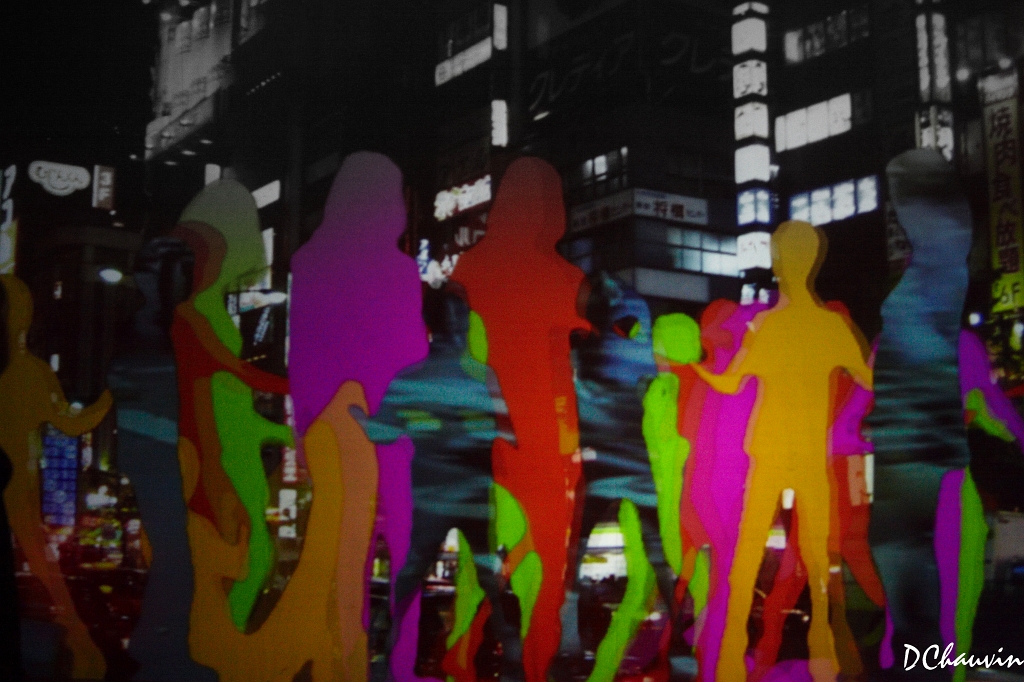 2010-01-23-ombre-oig.jpg -  no 48