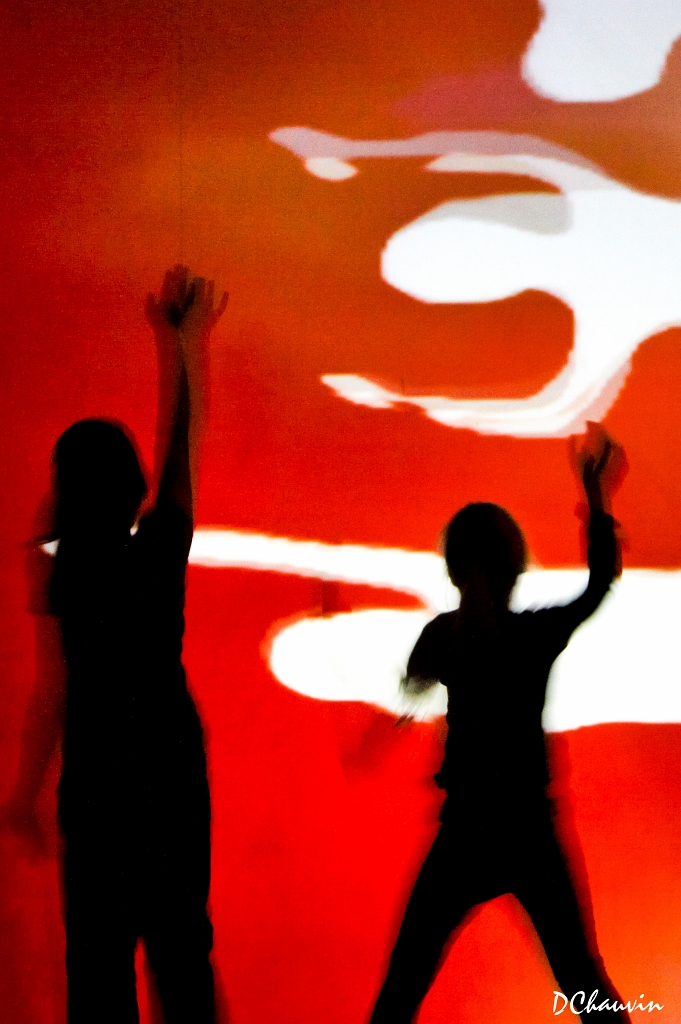 2011-07-expo-mots-arts-dchauvin (12).jpg -  no 14