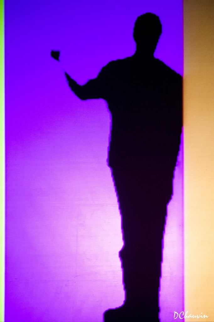 2011-07-expo-mots-arts-dchauvin (16).jpg -  no 6
