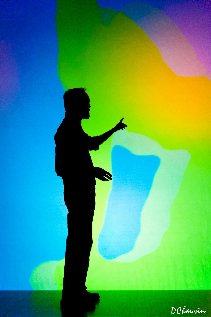 2011-07-expo-mots-arts-dchauvin (6).jpg -  no 13