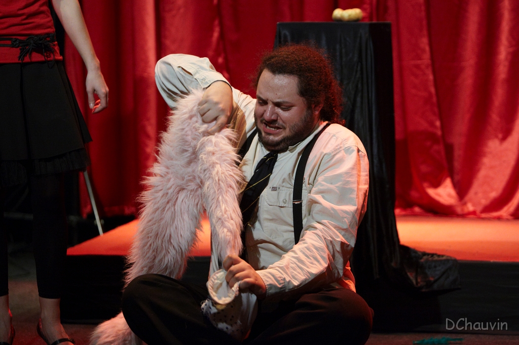 2010-04-tuvol-fables-OK (22).jpg - cabaret des fables